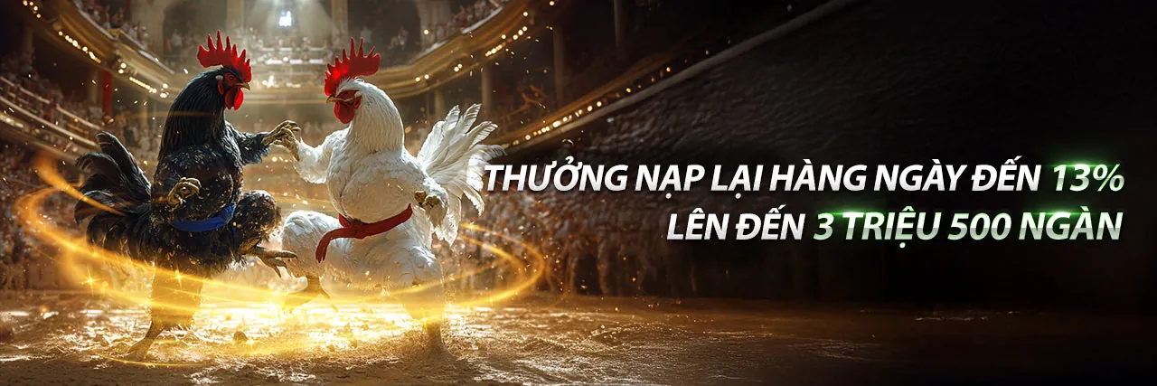 Sân vận động tràn ngập người hâm mộ với các biểu ngữ 868vip, tượng trưng cho trải nghiệm cá cược thể thao đỉnh cao